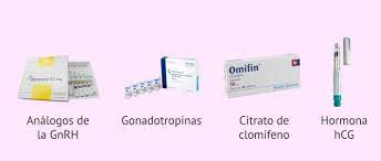 La Estimulacion Ovarica Controlada En Una Inseminacion Artificial