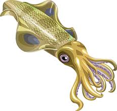 We will continue to show them individually for version history. Squid Png Free Download Png Lux