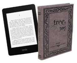 Gefüttert mit dickem filz schützt die hülle das technische gerät hervorragend. Kindle Paperwhite Zubehor 2014 Kindle Tipps De