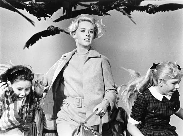 The Birds (1963 film) | Alfred Hitchcock, Cast, Horror, & Thriller |  Britannica