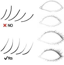 How to draw a realistic iris. How To Draw Anime Eye Lashes Novocom Top