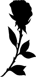 All rose silhouette clip art are png format and transparent background. Png Black And White Download Bouquet Transparent Silhouette Black Rose Silhouette Png Transparent Cartoon Jing Fm