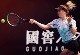 He is a french native. Elina Svitolina 2021 Update Career Gael Monfils Net Worth