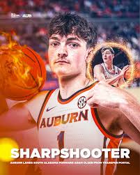 One of Auburn's new additions, Adam Olsen, is a SHARPSHOOTER! 102 made 3s  last season at 39.5% Tigers could be a PROBLEM from 3 this year #wde  #auburnhoops #auburnbasketball