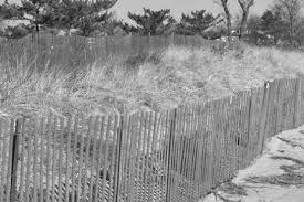 The cemetery plot was surrounded by a picket fence.