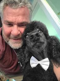 Our Sheldon is 15 yrs. ❤️