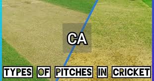 A Cricket Ground Is Generally Huge But The Result Of A Match Is Decided Within A 22 Yard Pitch This 22 Yard Rectangular Area Of 1 Cricket Pitch Cricket Match