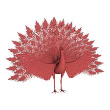 Peacock Base Mesh 3d Model Ad Base Peacock Model Mesh 3d Model Abstract Photos Peacock