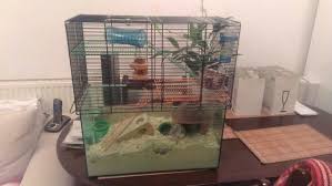 Gerbilarium Gerbils Need Lots Of Space To Dig And Tunnel In The Best Thing For A Gerbil Is A Gerbilarium Which Has A Strengthe Gerbil Hamster Toys Pocket Pet