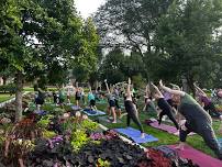 Yoga in the Park sponsored by Drees Chiropractic