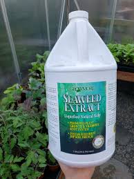 Check spelling or type a new query. How Why To Feed Seedlings Seaweed Extract Homestead And Chill