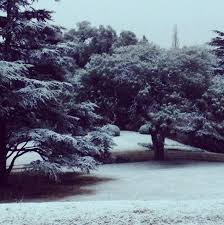 Más temprano, marcelo madelón, del servicio meteorológico nacional, aseguró a cadena 3 que podría nevar en las sierras de córdoba entre este miércoles y. Nieve En La Sierras De Cordoba Cordoba Times