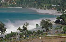 Image result for Tidal Wave 2004 Tiburon
