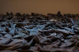 Image result for holocaust photos