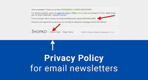 An easy way to do this is by writing it in sentence case. Privacy Policy For Email Newsletters Termsfeed