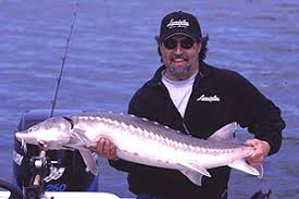 Interview: John Posey Lamiglas rods