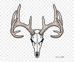 I will teach you how you can draw a cool looking deer in 10 steps. How To Draw Deer Skull Deer Easy To Draw Deer Skull Clipart 5794432 Pinclipart