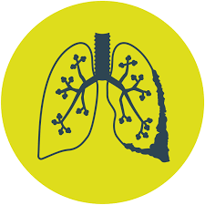 Check spelling or type a new query. Mesothelioma Compensation Friends Legal Industrial Disease Claims