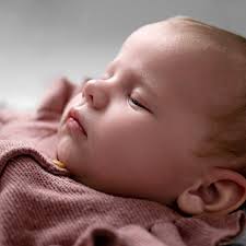 Yellow Blossom Photography...