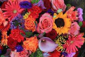 West palm beach post office. Burst Of Class Florist Home Facebook