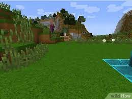 This does not actually take the shot, but gets rid of your arm, mouse, and hot bar, and in multiplayer, chat. How To Take A Screenshot In Minecraft Pc 4 Steps With Pictures