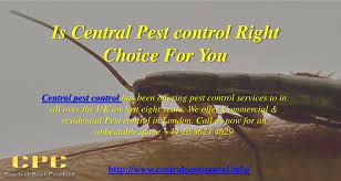 Anderson pest solutions has expert exterminators, providing pest control to the chicago il area since 1913. Ppt Is Central Pest Control Right Choice For You Powerpoint Presentation Id 4716736