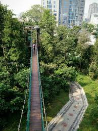 Here are three entrances you can use: Canopy Walk At Kl Forest Eco Park Bukit Nanas Forest Reserve Kyension Com