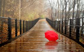 Wallpaper Download 5120x3200 Red Umbrella On A Wet Wood Bridge Beautiful Nature Landscapes Desktop Wallpapers Rainy Day Pictures Rainy Day Wallpaper Rainy Day