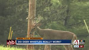 But animal behavior remains unpredictable, even if you use one of these. Do Deer Whistles Really Work To Prevent Crashes