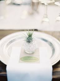 In Season Now Wedding Worthy Air Plants Plant Wedding Favors Air Plants Wedding Wedding Plants
