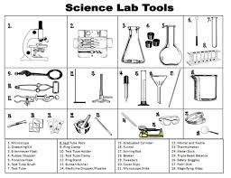 Check spelling or type a new query. Pin By Morgan Mccoy On Interactive Science Notebooks Science Lab Tools Science Tools Science Skills