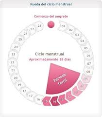 Que Dias Me Puedo Quedar Embarazada Blogmujeres Com