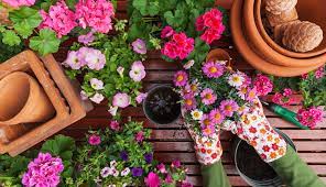 Utilizar la herramienta correcta en la situación. Los Beneficios De Aprender Jardineria