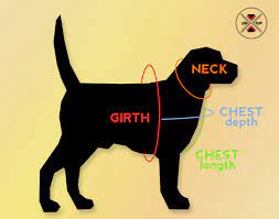 Measuring Your Dog Handmade Dog Collars
