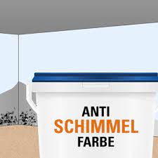 Farbe Gegen Schimmel