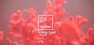 In australia salmon is mostly orange. Living Coral Is Named 2019 Pantone Color Of The Year