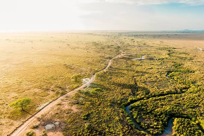 Ngorongoro Crater