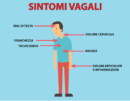 Nervo Vago La Chiave Per Migliorare Molti Sintomi E Disturbi L Altra Riabilitazione