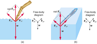Cohesion And Adhesion In Liquids Surface Tension And Capillary Action College Physics