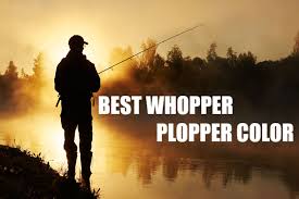 What Is The Best Whopper Plopper Color My Top 5 Choices