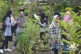 Kunjungan Wisata Herbal Tanaman Tanaman Obat Kebun