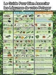 Le Guide Pratique Pour Bien Associer Les Legumes De Votre Potager Potager Permaculture Jardinage Potager Potager