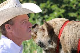 PCQHA Fall Classic Quarter Horse Show Recap- Blue Ribbons and Beaches