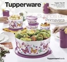 Tupperware presenta su catálogo tupperware 2021 (vigente » septiembre). Tupperware Catalogo Virtual Tupper Tips 3 De 2017 Mexico