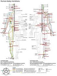 Knockout pressure points in the body. Pressure Point Wikipedia