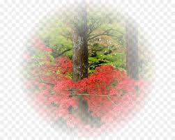 Tons of awesome pokemon wallpapers 1920x1080 to download for free. Landschaft Der Vier Jahreszeiten Fruhling Desktop Hintergrundbilder Herbst Rohr Hintergrunde Landschaften Png Herunterladen 712 713 Kostenlos Transparent Baum Png Herunterladen