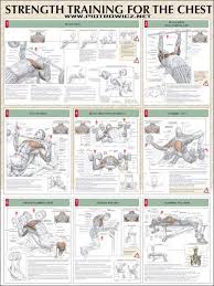 Strength Training For The Chest Healthy Arms Shoulders Workout Yeah We Workout Chest Workouts Strength Workout Chest Workout