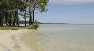 Deuxième lac d'eau douce de france, lac de cazaux se niche au coeur d'une magnifique forêt luxuriante et sauvage et s'étend. Charlet Nautic Le Lac De Cazaux Cadre Et Activites Du Plan D Eau