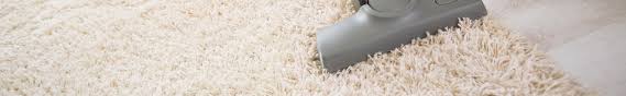 Ein teppichboden ist der flauschige bodenbelag, der jedem raum eine gemütliche und heimelige atmosphäre verleiht. Langflor Teppich Reinigen In 5 Schritten Anleitungen Com
