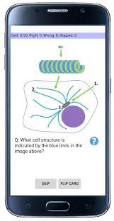 The app provides concise study guides, flashcards and unlimited . Cell Biology 101 Apk 1 80 Download For Android Download Cell Biology 101 Apk Latest Version Apkfab Com